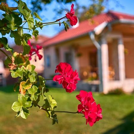 Villa Simida Debnevo Kültér fotó