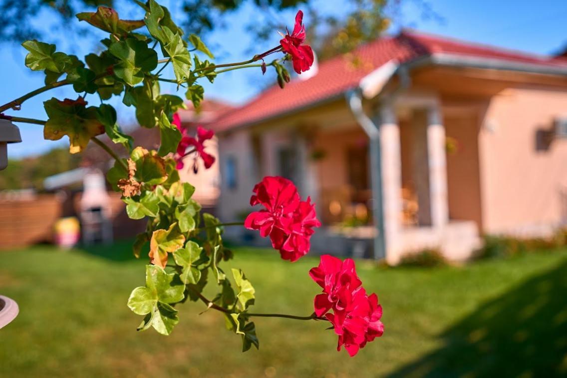 Villa Simida Debnevo Kültér fotó